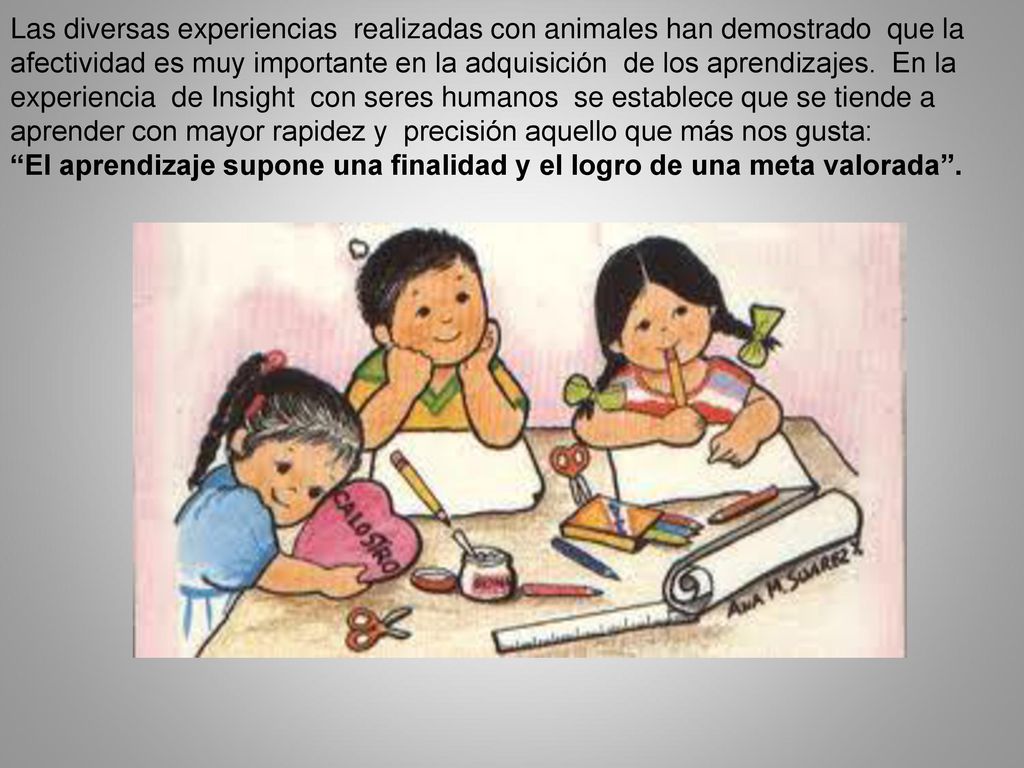 Las diversas experiencias realizadas con animales han demostrado que la afectividad es muy importante en la adquisición de los aprendizajes. En la experiencia de Insight con seres humanos se establece que se tiende a aprender con mayor rapidez y precisión aquello que más nos gusta: