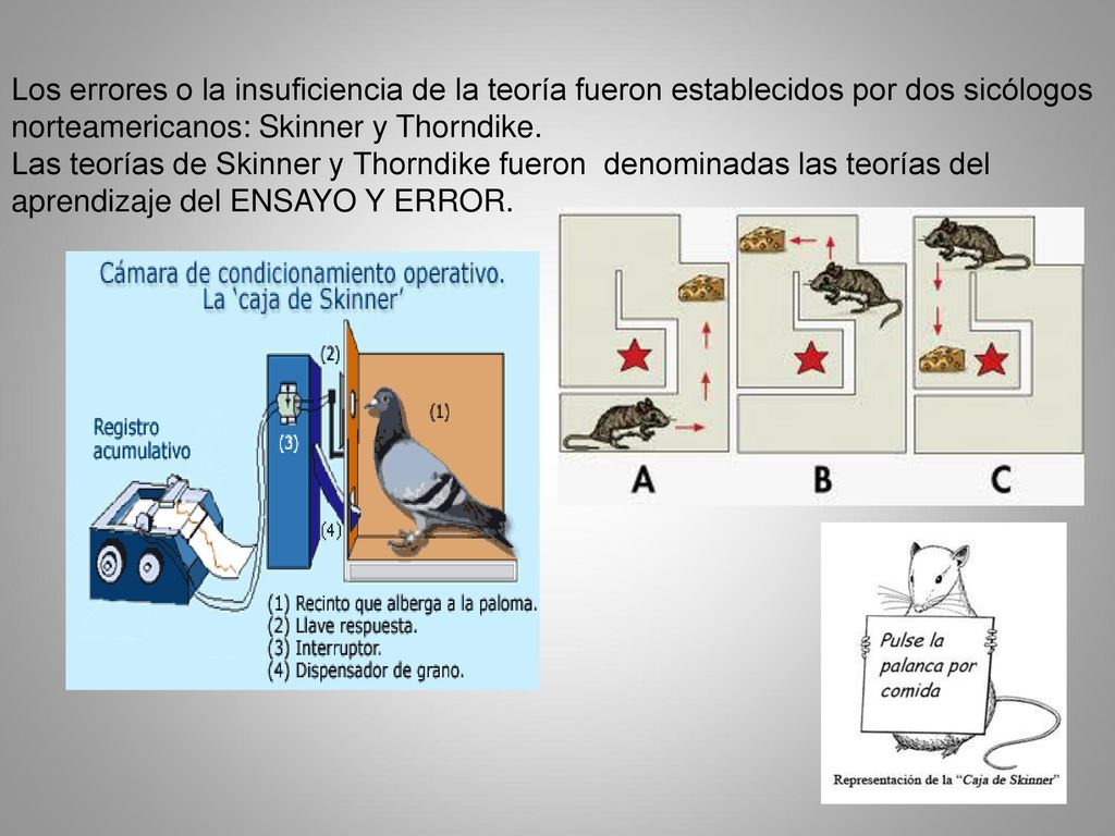 Los errores o la insuficiencia de la teoría fueron establecidos por dos sicólogos norteamericanos: Skinner y Thorndike.
