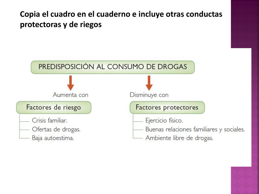 Copia el cuadro en el cuaderno e incluye otras conductas protectoras y de riegos
