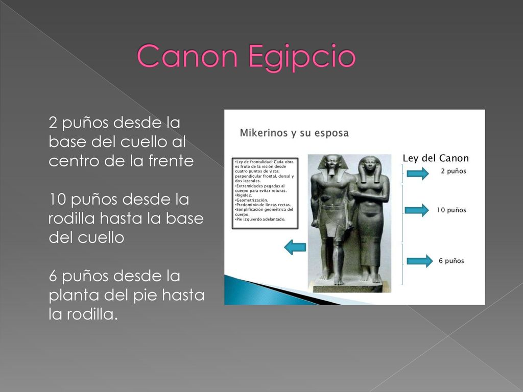 Canon Egipcio 2 puños desde la base del cuello al centro de la frente