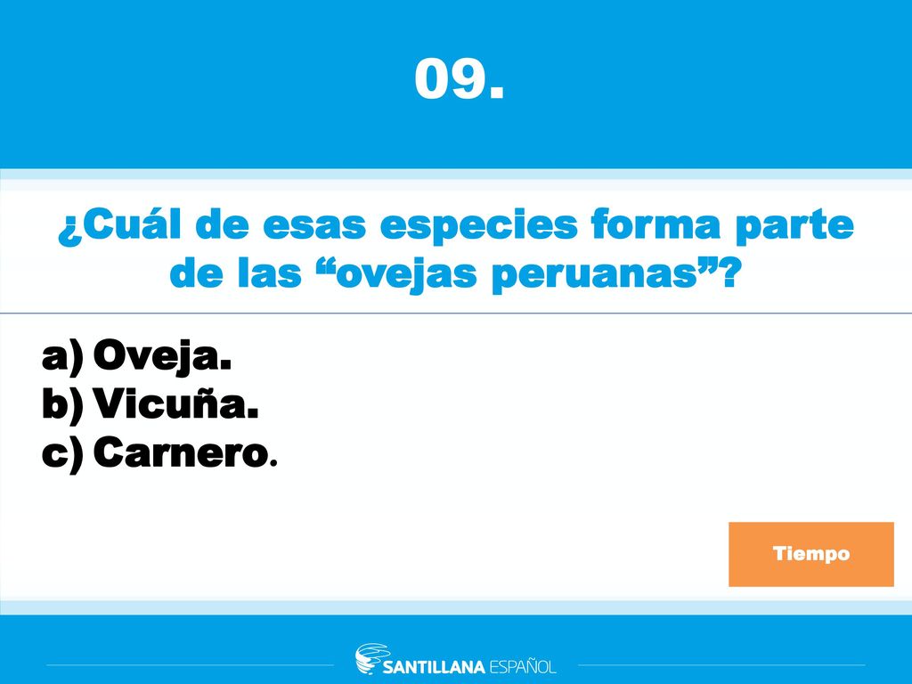 ¿Cuál de esas especies forma parte de las ovejas peruanas