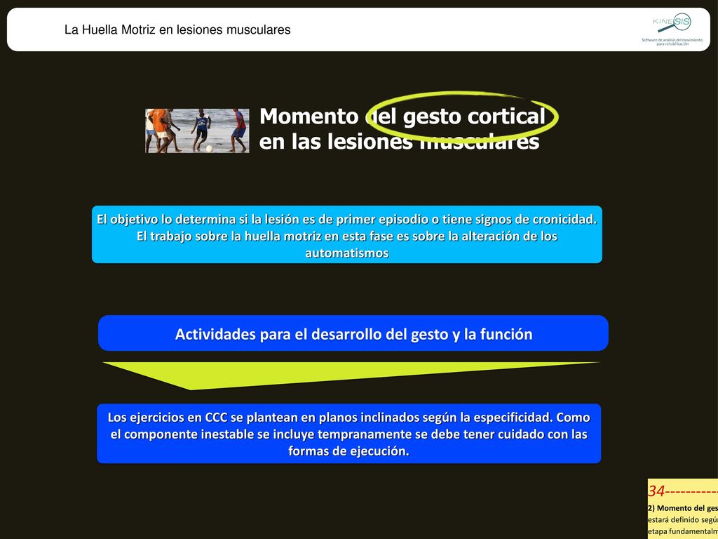 Momento del gesto cortical en las lesiones musculares