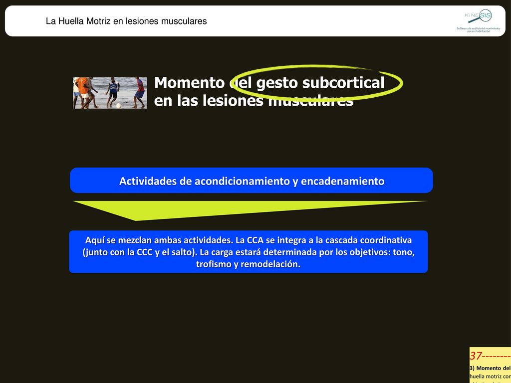 Momento del gesto subcortical en las lesiones musculares