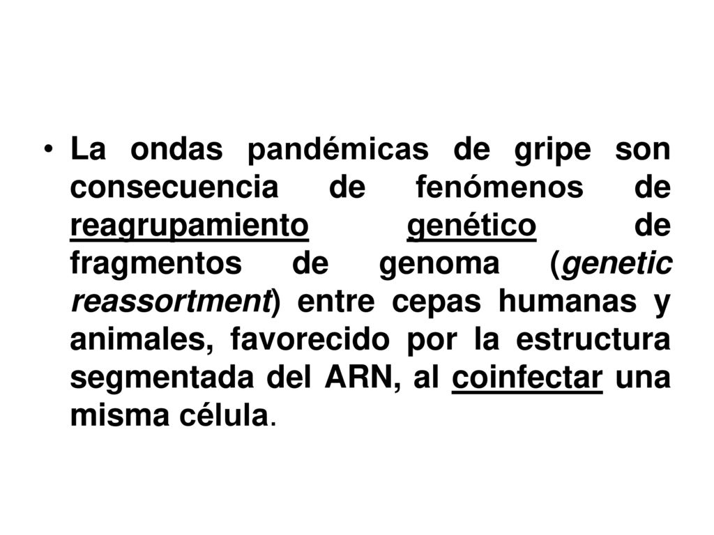 La ondas pandémicas de gripe son consecuencia de fenómenos de reagrupamiento genético de fragmentos de genoma (genetic reassortment) entre cepas humanas y animales, favorecido por la estructura segmentada del ARN, al coinfectar una misma célula.