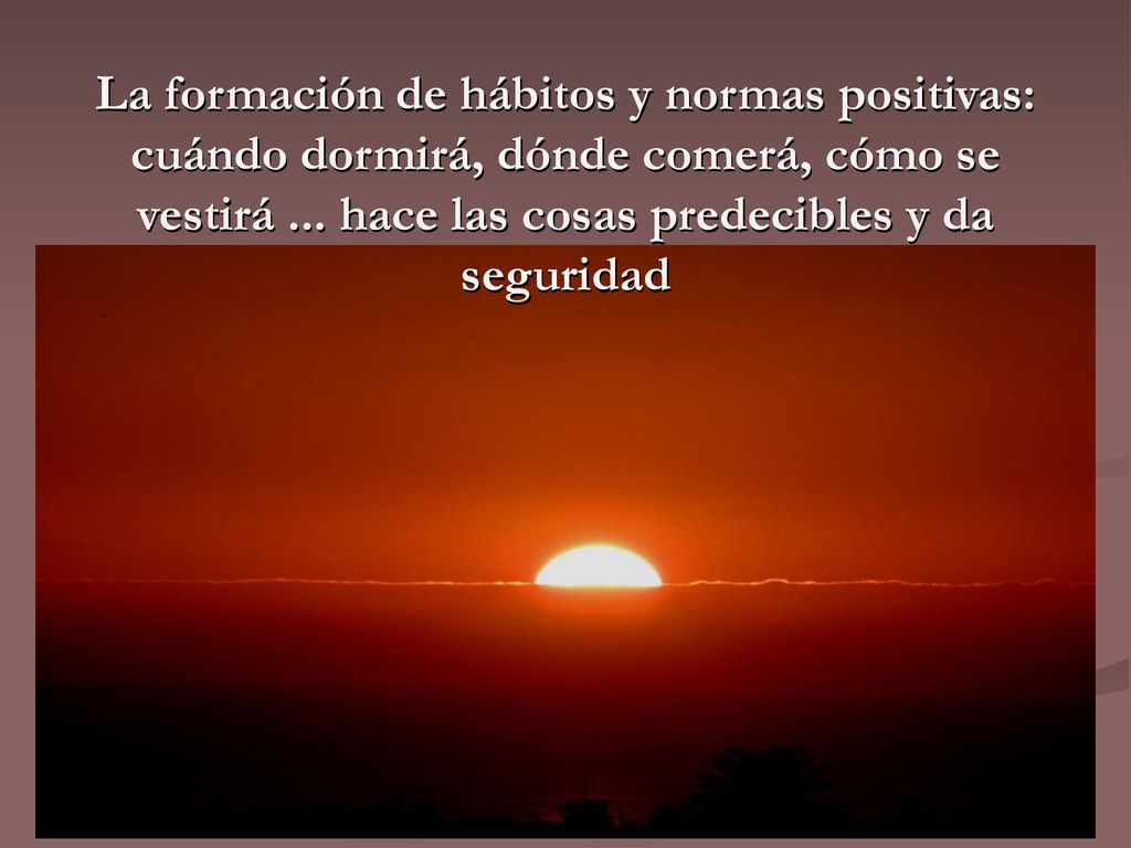 La formación de hábitos y normas positivas: cuándo dormirá, dónde comerá, cómo se vestirá ...