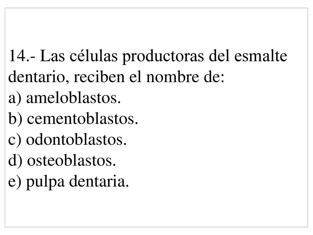 14.- Las células productoras del esmalte dentario, reciben el nombre de: a) ameloblastos.