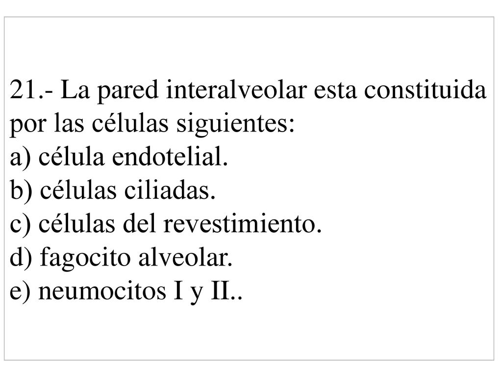 21.- La pared interalveolar esta constituida por las células siguientes: a) célula endotelial.