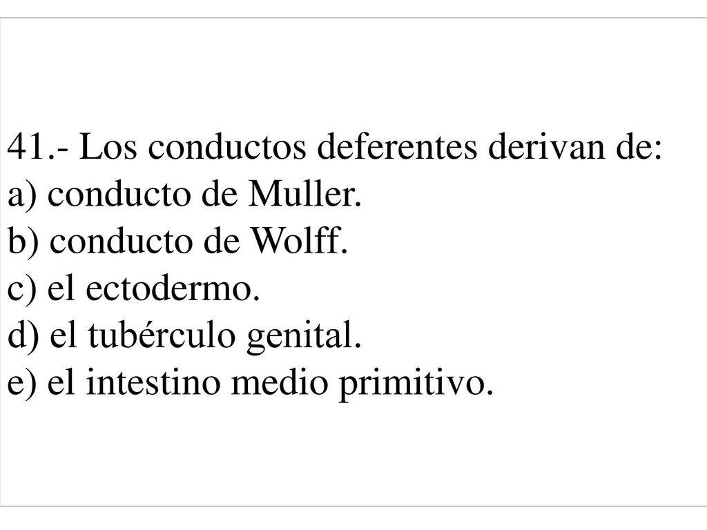 41. - Los conductos deferentes derivan de: a) conducto de Muller