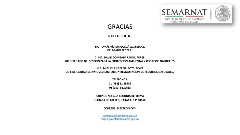 GRACIAS D I R E C T O R I O . LIC. TOMÁS VÍCTOR GONZÁLEZ ILESCAS.