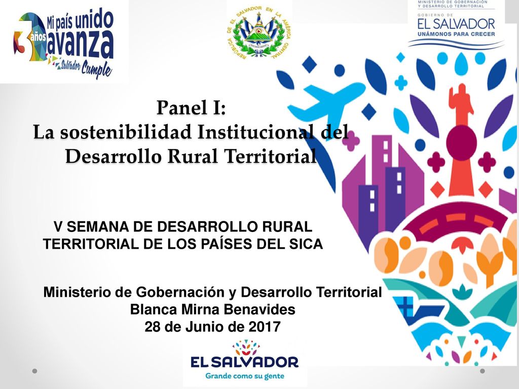 Panel I: La sostenibilidad Institucional del Desarrollo Rural Territorial
