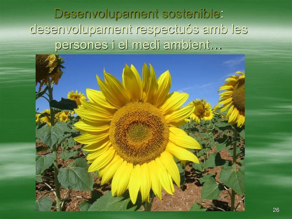 Desenvolupament sostenible: desenvolupament respectuós amb les persones i el medi ambient…