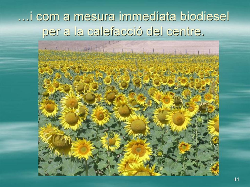 …i com a mesura immediata biodiesel per a la calefacció del centre.