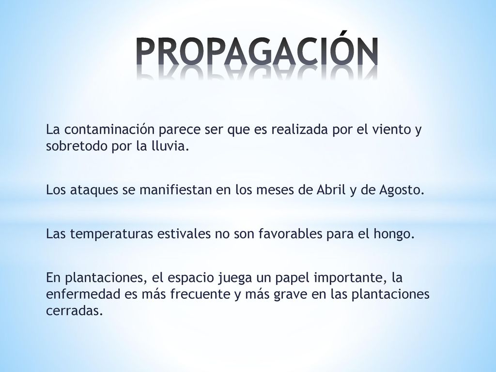 PROPAGACIÓN La contaminación parece ser que es realizada por el viento y sobretodo por la lluvia.