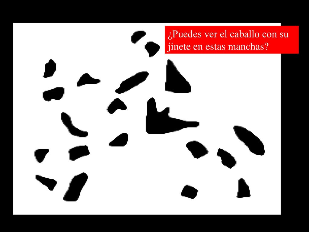 ¿Puedes ver el caballo con su jinete en estas manchas