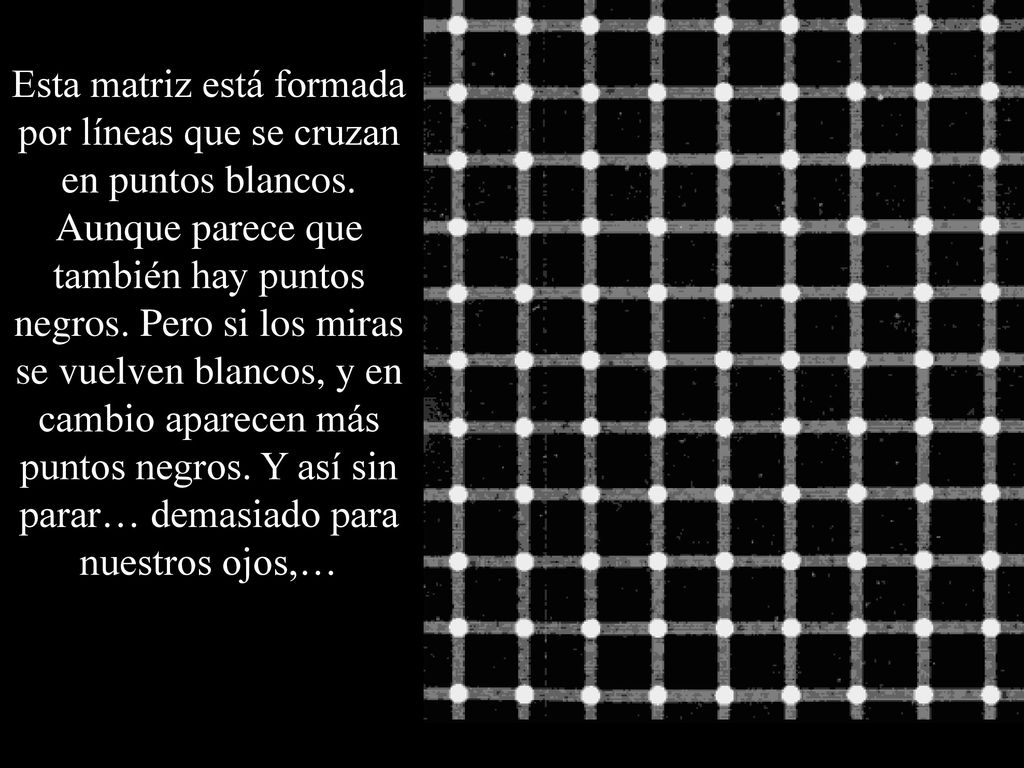 Esta matriz está formada por líneas que se cruzan en puntos blancos