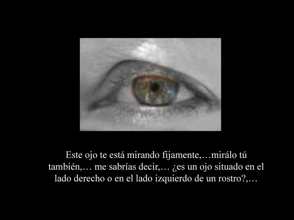 Este ojo te está mirando fijamente,…mirálo tú también,… me sabrías decir,… ¿es un ojo situado en el lado derecho o en el lado izquierdo de un rostro ,…