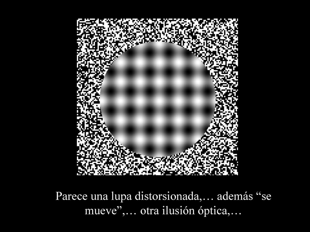 Parece una lupa distorsionada,… además se mueve ,… otra ilusión óptica,…