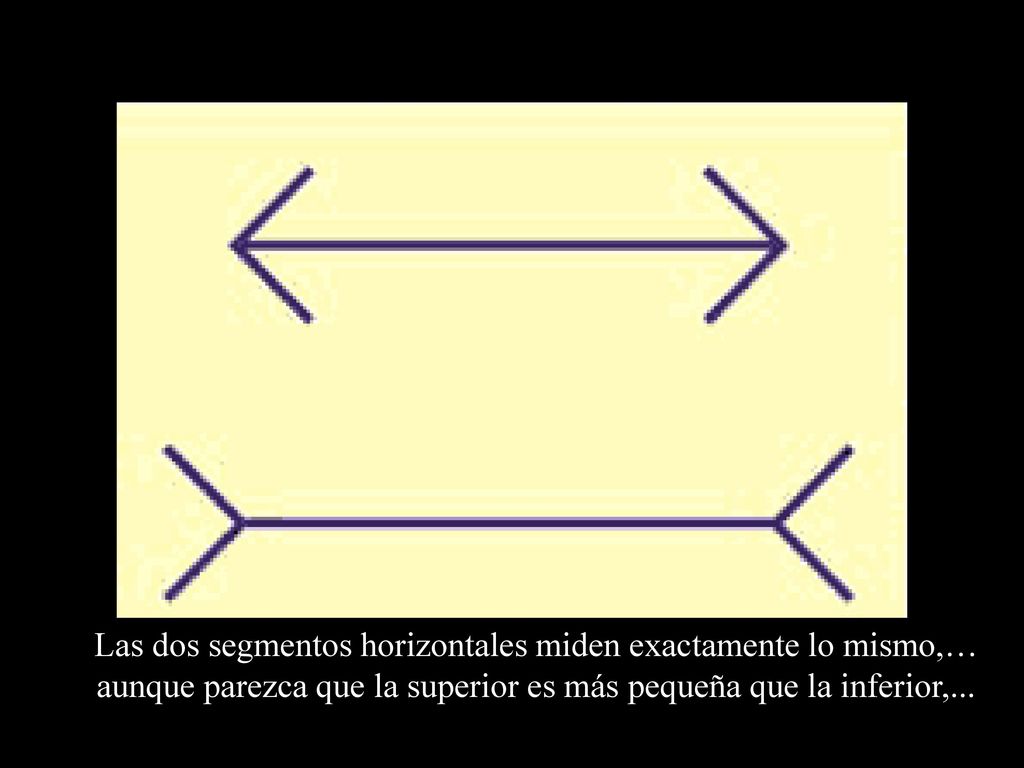 Las dos segmentos horizontales miden exactamente lo mismo,… aunque parezca que la superior es más pequeña que la inferior,...