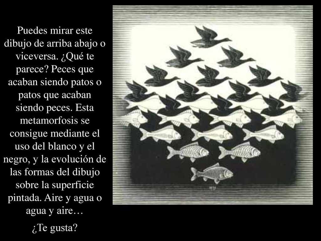 Puedes mirar este dibujo de arriba abajo o viceversa. ¿Qué te parece