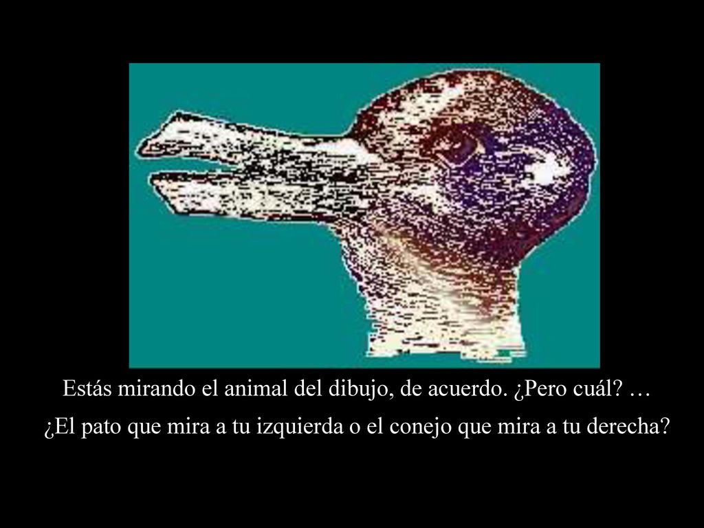 Estás mirando el animal del dibujo, de acuerdo. ¿Pero cuál …