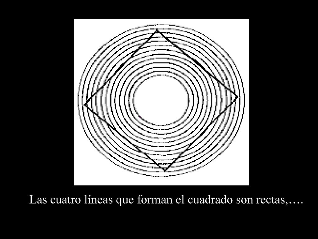Las cuatro líneas que forman el cuadrado son rectas,….