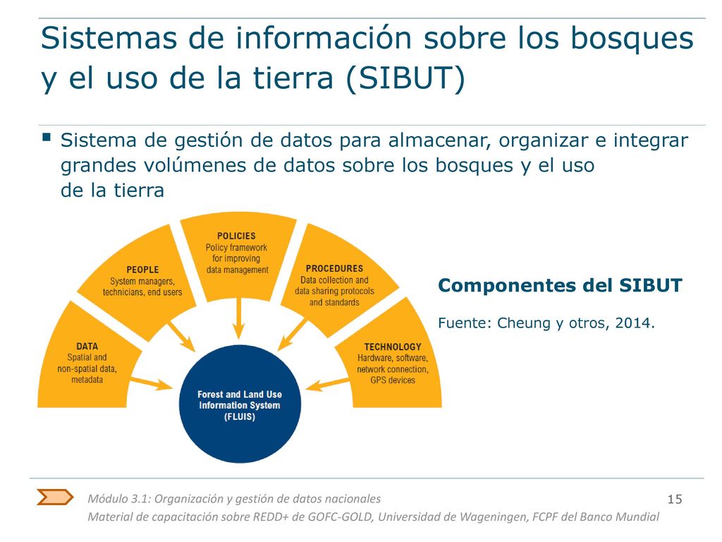 Sistemas de información sobre los bosques y el uso de la tierra (SIBUT)