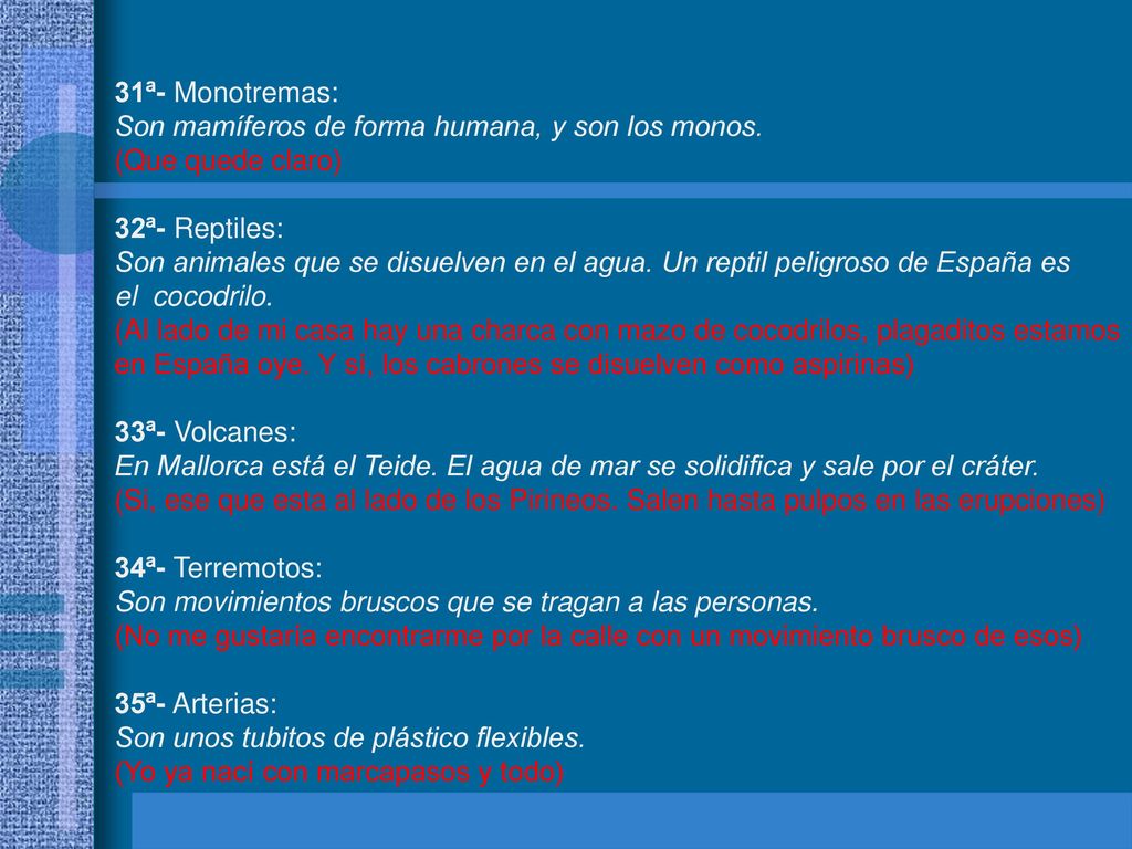 31ª- Monotremas: Son mamíferos de forma humana, y son los monos