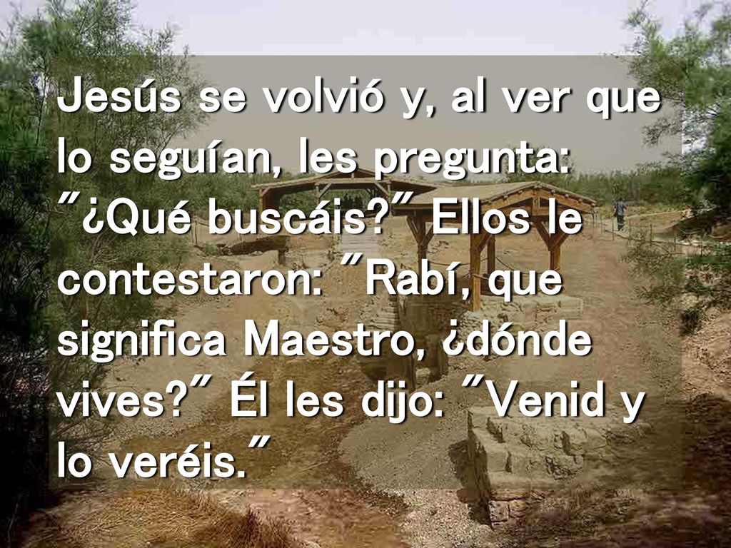 Jesús se volvió y, al ver que lo seguían, les pregunta: ¿Qué buscáis