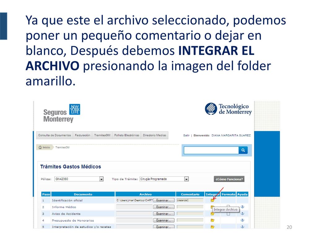 Ya que este el archivo seleccionado, podemos poner un pequeño comentario o dejar en blanco, Después debemos INTEGRAR EL ARCHIVO presionando la imagen del folder amarillo.