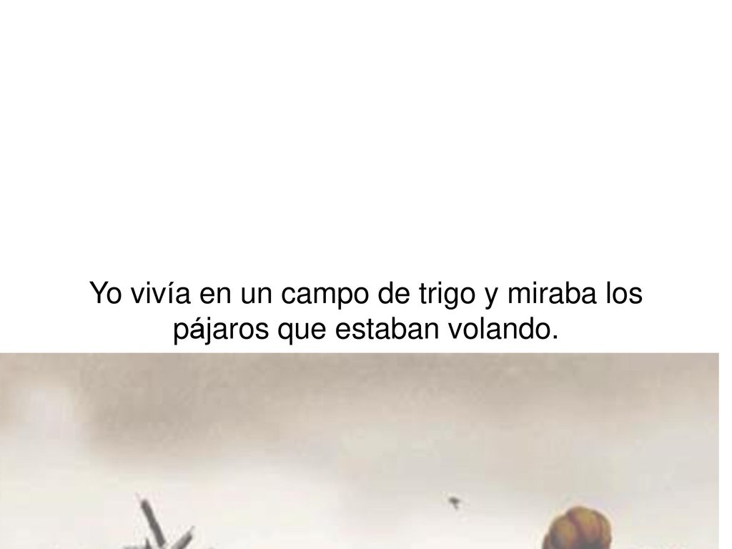 Yo vivía en un campo de trigo y miraba los pájaros que estaban volando.