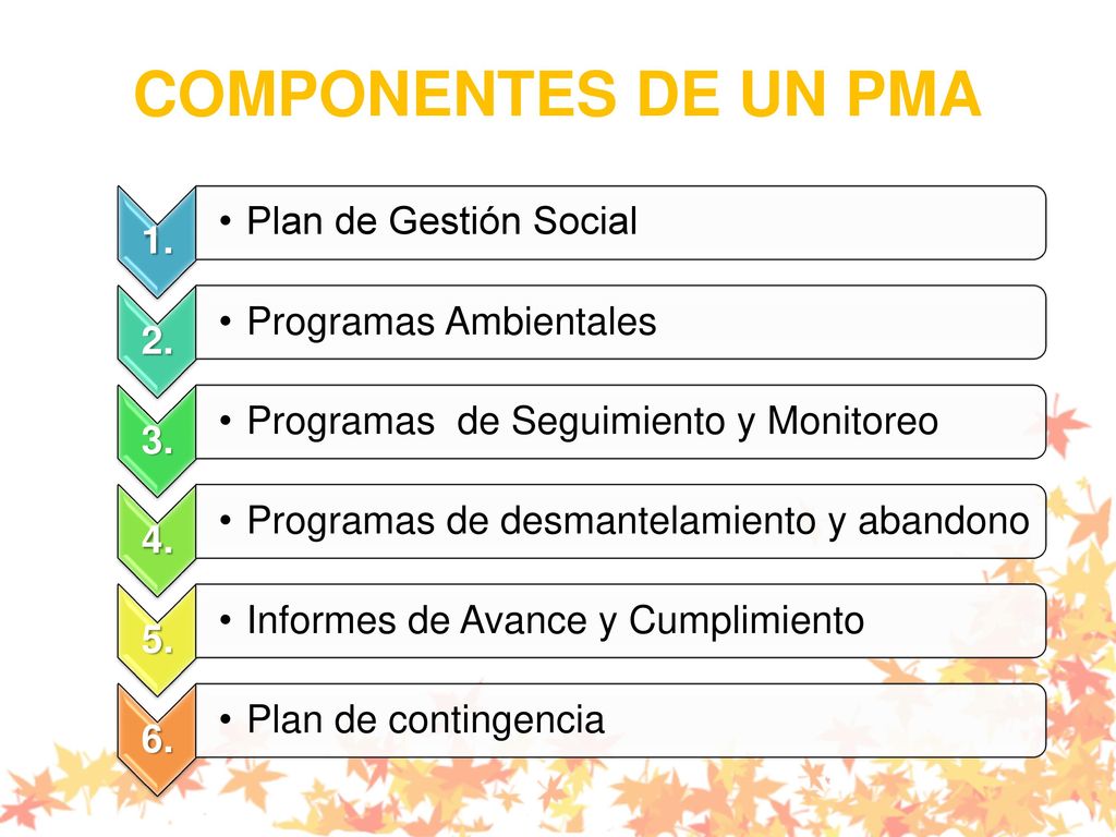 COMPONENTES DE UN PMA Plan de Gestión Social Programas Ambientales