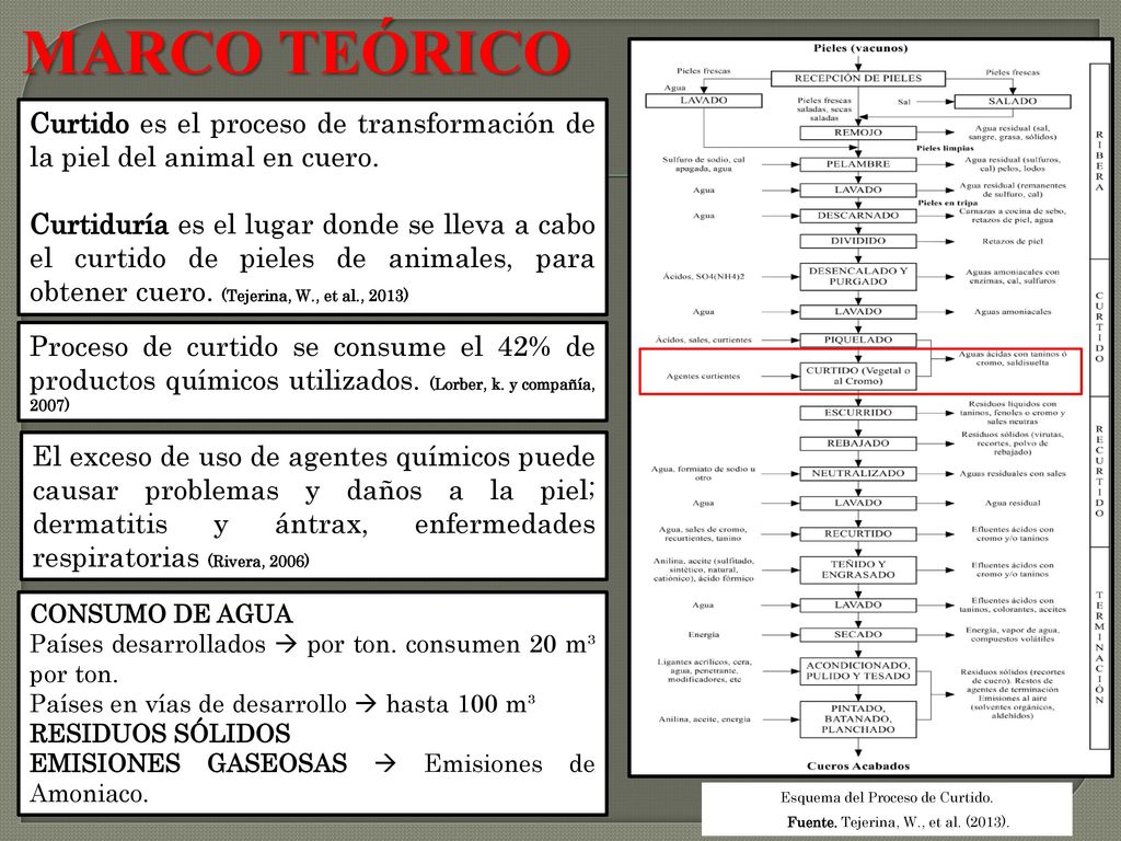 MARCO TEÓRICO Curtido es el proceso de transformación de la piel del animal en cuero.
