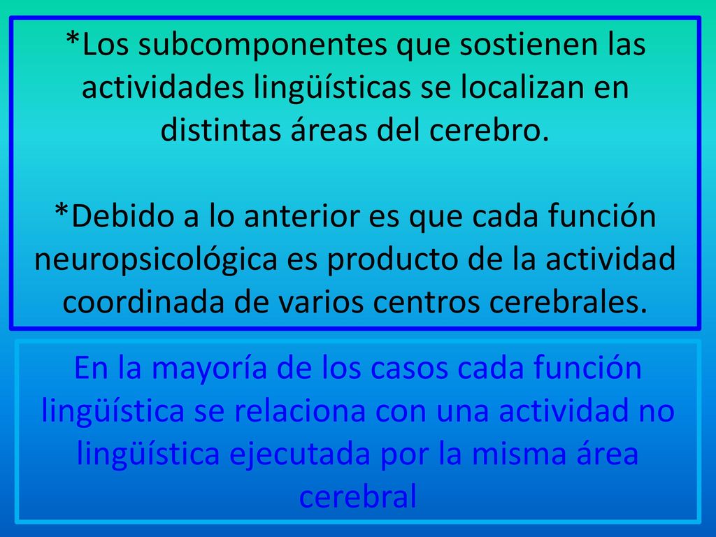 *Los subcomponentes que sostienen las actividades lingüísticas se localizan en distintas áreas del cerebro.