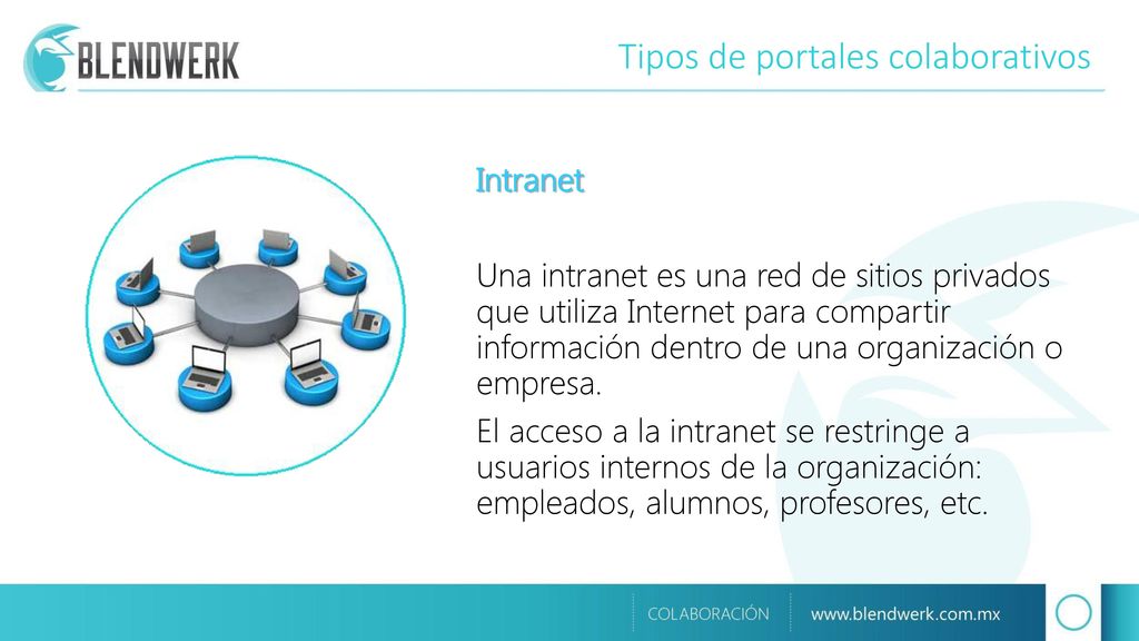 Tipos de portales colaborativos