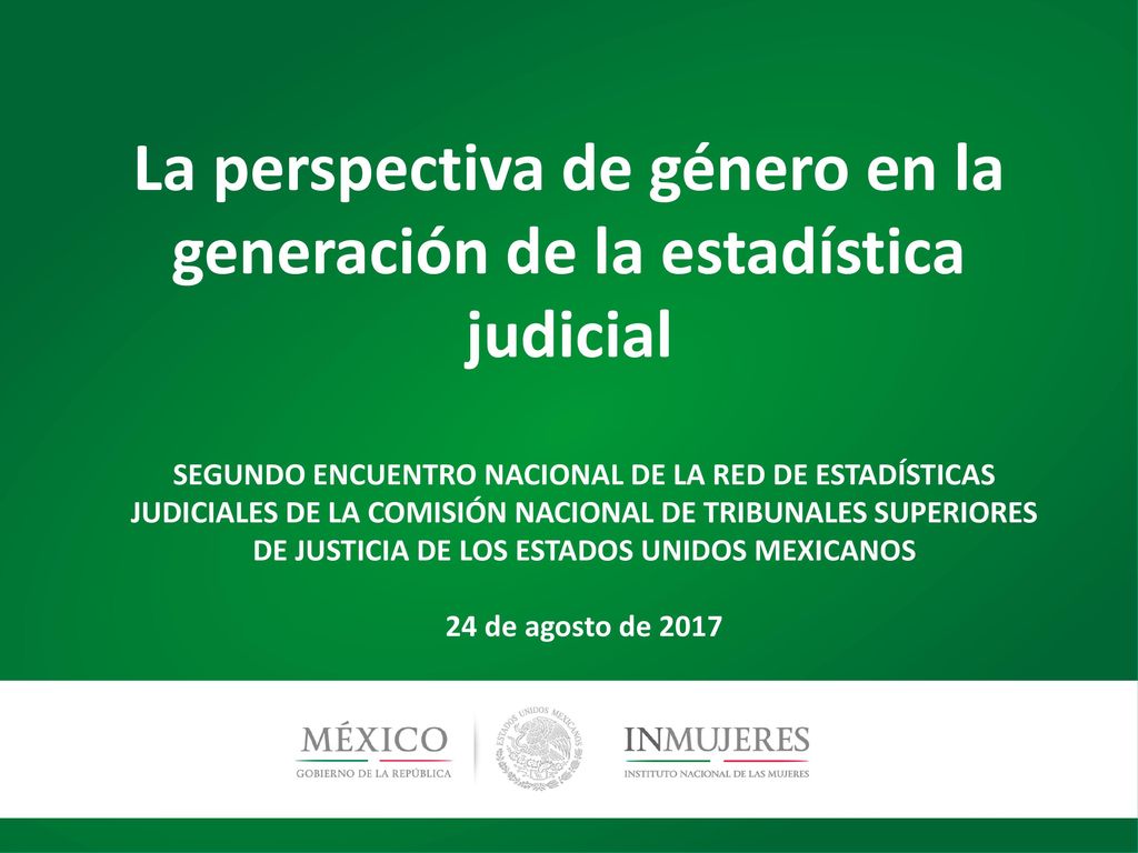 La perspectiva de género en la generación de la estadística judicial