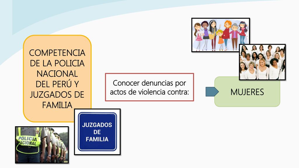 COMPETENCIA DE LA POLICIA NACIONAL DEL PERÚ Y JUZGADOS DE FAMILIA