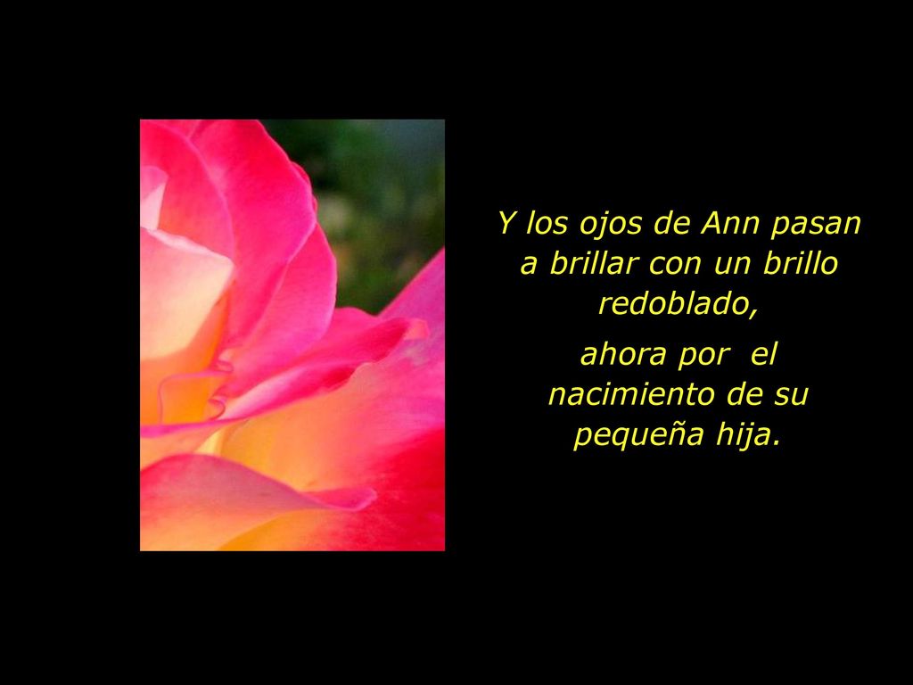 Y los ojos de Ann pasan a brillar con un brillo redoblado,
