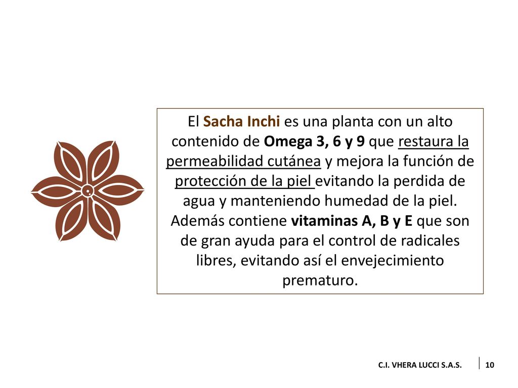 El Sacha Inchi es una planta con un alto contenido de Omega 3, 6 y 9 que restaura la permeabilidad cutánea y mejora la función de protección de la piel evitando la perdida de agua y manteniendo humedad de la piel. Además contiene vitaminas A, B y E que son de gran ayuda para el control de radicales libres, evitando así el envejecimiento prematuro.