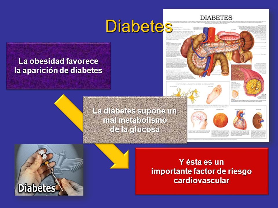 Diabetes La obesidad favorece la aparición de diabetes