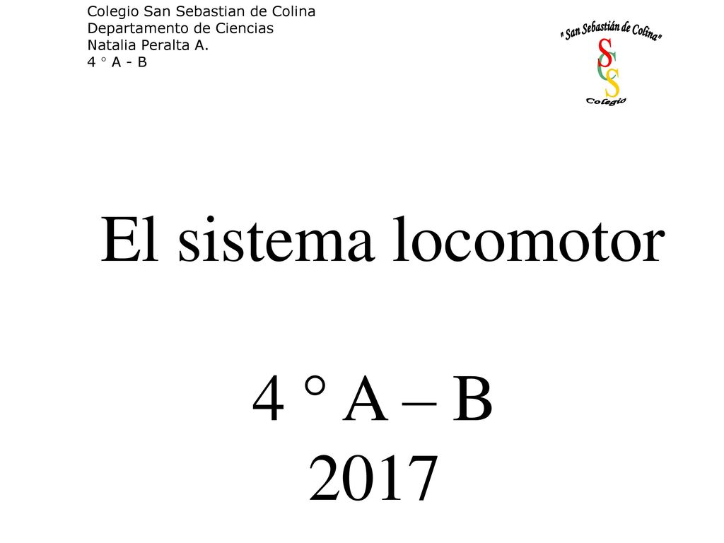 El sistema locomotor 4 ° A – B 2017 Colegio San Sebastian de Colina