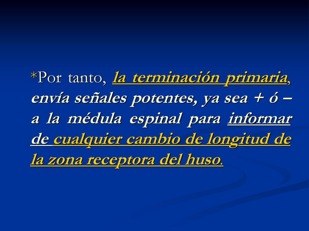 *Por tanto, la terminación primaria, envía señales potentes, ya sea + ó – a la médula espinal para informar de cualquier cambio de longitud de la zona receptora del huso.