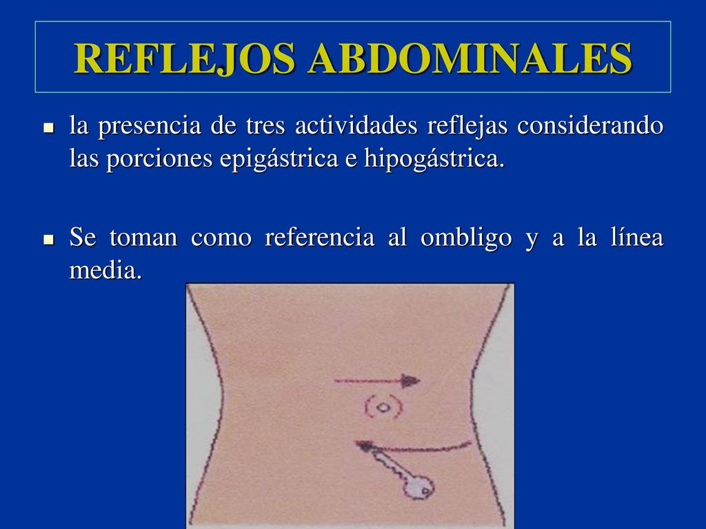 REFLEJOS ABDOMINALES la presencia de tres actividades reflejas considerando las porciones epigástrica e hipogástrica.