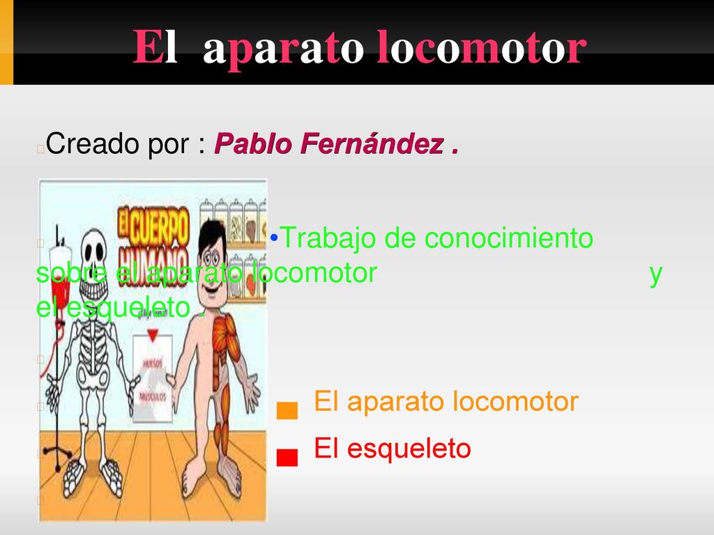El aparato locomotor Creado por : Pablo Fernández .