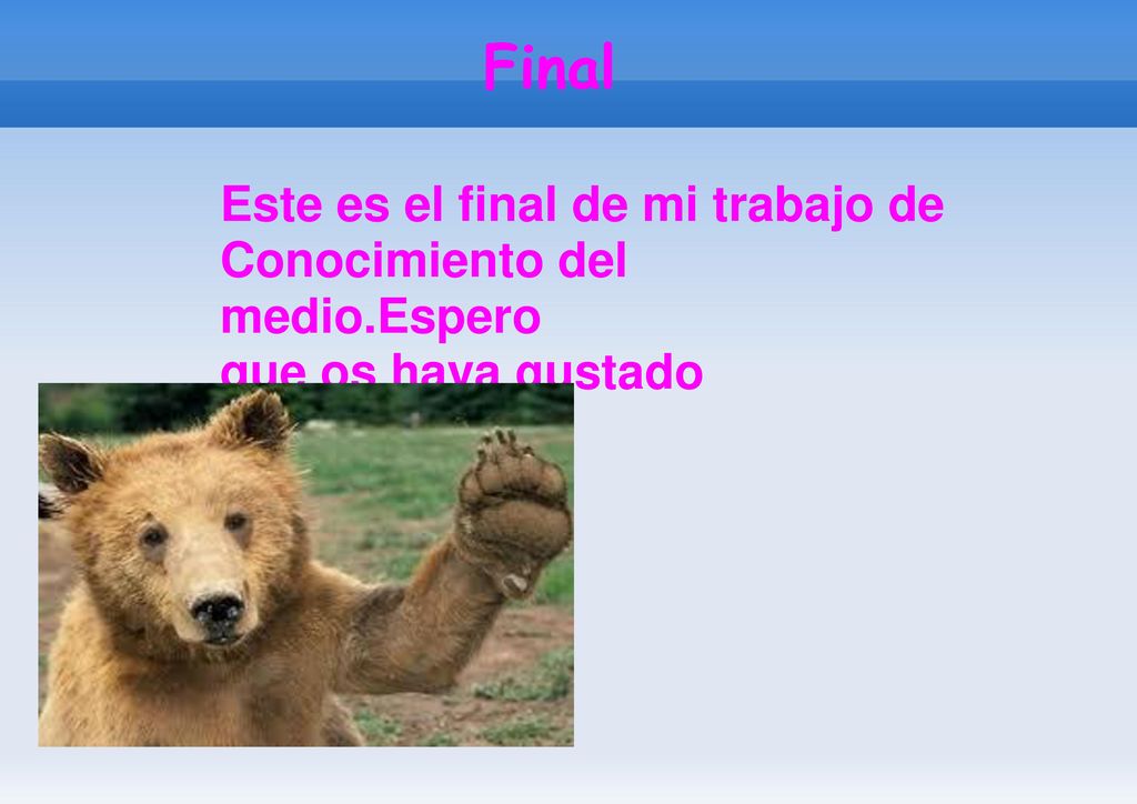 Final Este es el final de mi trabajo de Conocimiento del medio.Espero