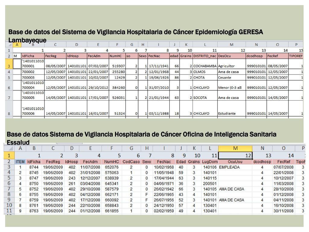 Base de datos del Sistema de Vigilancia Hospitalaria de Cáncer Epidemiología GERESA Lambayeque