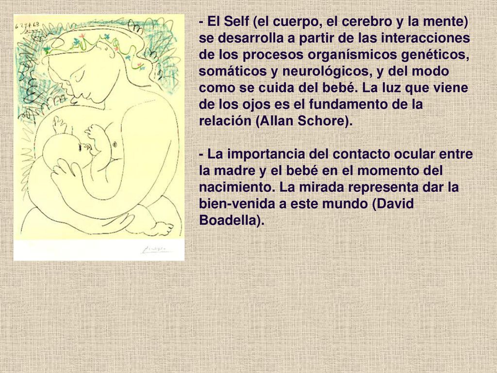 - El Self (el cuerpo, el cerebro y la mente) se desarrolla a partir de las interacciones de los procesos organísmicos genéticos, somáticos y neurológicos, y del modo como se cuida del bebé.