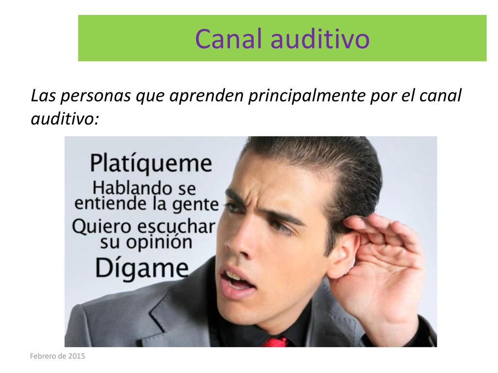 Canal auditivo Las personas que aprenden principalmente por el canal auditivo: Febrero de 2015