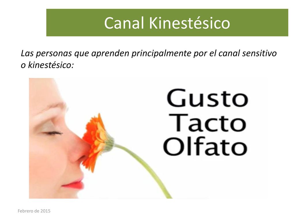 Canal Kinestésico Las personas que aprenden principalmente por el canal sensitivo o kinestésico: Febrero de