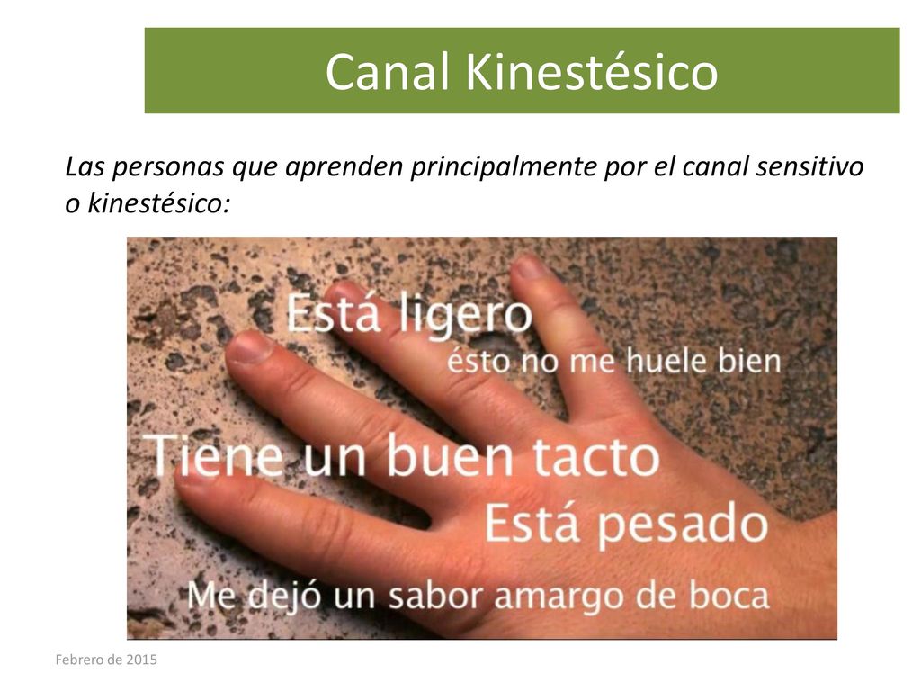 Canal Kinestésico Las personas que aprenden principalmente por el canal sensitivo o kinestésico: Febrero de