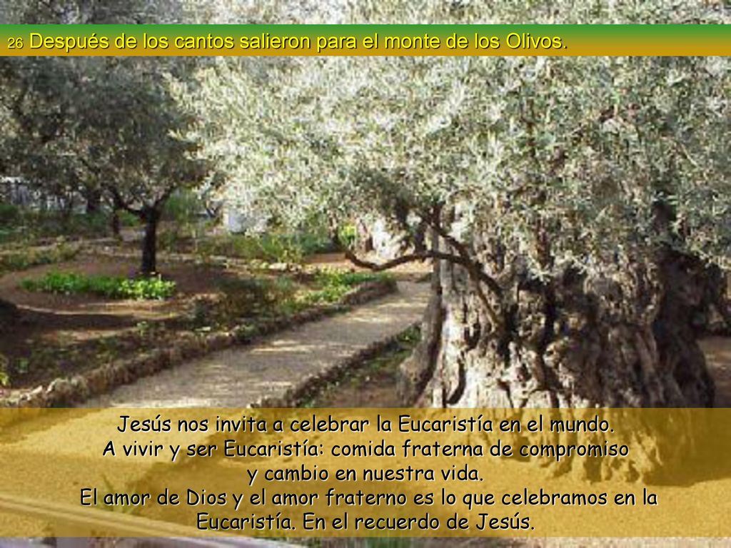 Jesús nos invita a celebrar la Eucaristía en el mundo.